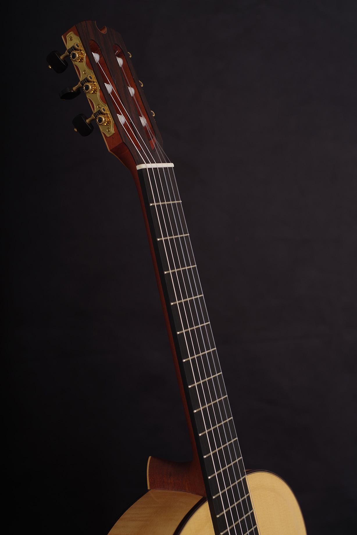 Classical Guitar No. 3